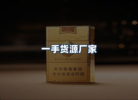 专业团队办公环境